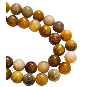 fossiil, coral, 2.jpg