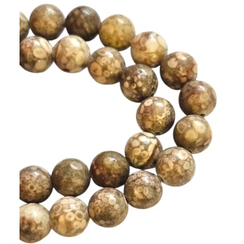 fossiil, coral.jpg