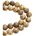 Fossiil, Beige, 8mm, 10tk